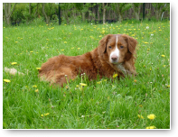 Deejay, mooie jongen.