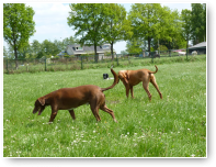 Sam en Joris zomaar samen op de foto.
