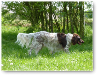 Sam op pad.