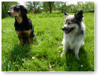 Yindi en Aesir.