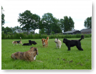 Hier met Max, Maxime, Fifi, Sera, Sjors en Blom.