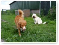 Sera is ook even bij Balou wezen buurten.
