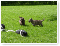 Zomaar samen op de foto: Caintie en Rexy
