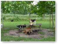 En wie staat er weer boven op de tafel?