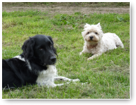 Smokey en Senna nemen het er even van.