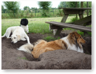Kyra, Fenna en Collin op het koele zand.
