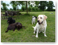 Floor, Kane, Jack en Okke.