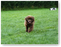 Daar Oskar voor een knuffl. Soms denk je dat er een Grizzly op je af komt.