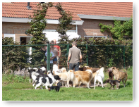 Ja, hoor...de blije baasjes van Kyra...eindelijk hun schatje weer mee naar huis.