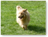 Rocky loopt de hele dag glimlachend rond.