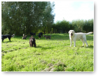 Kom, we gaan naar ons mini natuurgebiedje.