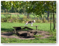 Donna...het is geen showtafel, hoor!