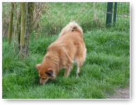 Angel is ook lastig maar ach, ze hoeven niet allemaal te poseren.