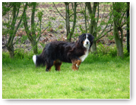 Daar hebben we Amanta. Pootje in de lucht :-)
