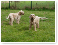 Het is een lief setje. Oscar en Fien!