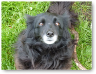 Fifi wil knuffel!
