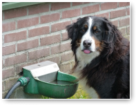 Hoi Manta, dorst?
