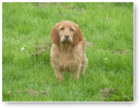 Phoebe is een schatje.