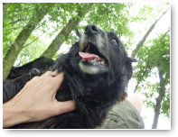 Markiesje Fifi heeft het niet meer....op schoot!!