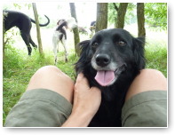 Fifi lief.