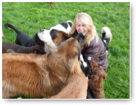 Ziva Jaloers en dus Perro...rustig, rustig met die enorme lijven van jullie.
