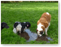 Bente smult..."dat water hier...echt fantastisch".