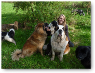 We proberen het nog een keer. Ik wil eigenlijk met de drie grootste honden poseren.