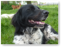 Hallo lieve Imke...