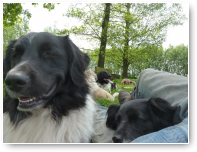 Luca en Fifi. Nog even en ze slapen....en ik ook