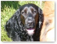 Cooper...ook voor het eerst. Het is een schatje!