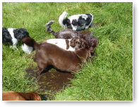 Jessy, Sandy en Kyra...opschuiven dames!