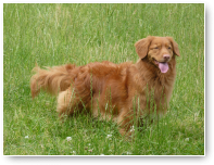Kyra poseert
