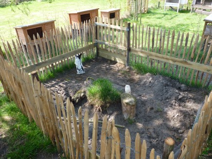 Dierenlogeerboerderij Syltjer Wâld